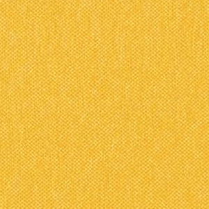 Daylily SW-012