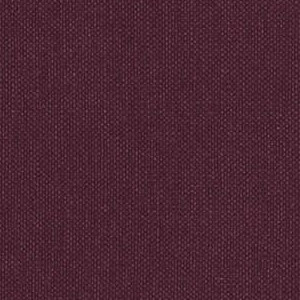 Eggplant SW-005