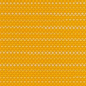 Marigold