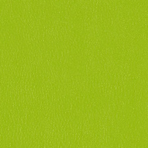 Lime 3919-503