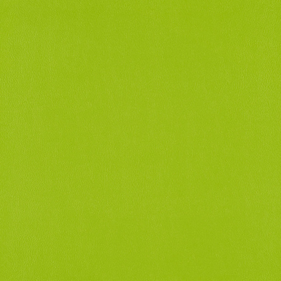 Lime 3919-503