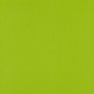 Lime 3919-503