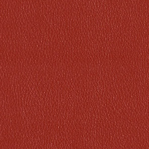 Brick 3919-303