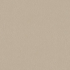 Fossil 3919-103