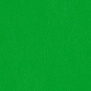 Leapfrog 3919-504