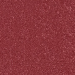 Oxford 3919-304