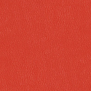 Persimmon 3919-302