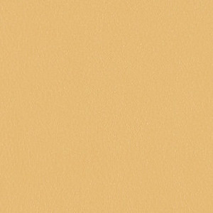Vicuna 3919-203