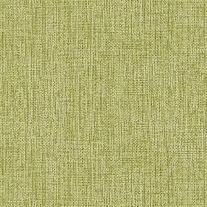 Wasabi 3921-501