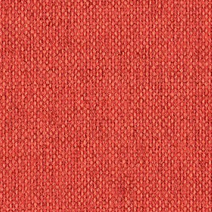 Tomato 4147-302