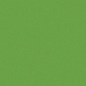 Kiwi 3701-503