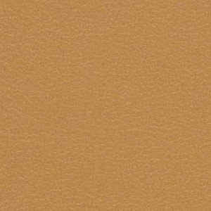 Caramel FT-022