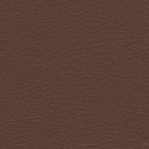 Latte FT-010
