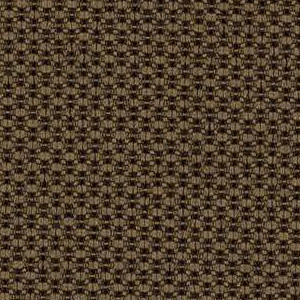 Chocolate 6564
