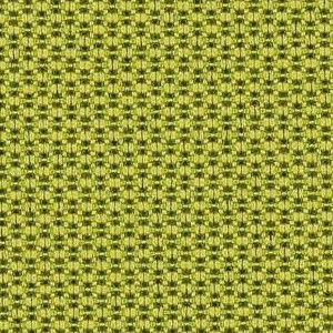 Crocodile 6561