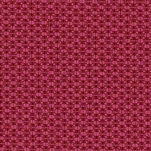 Raspberry 6557