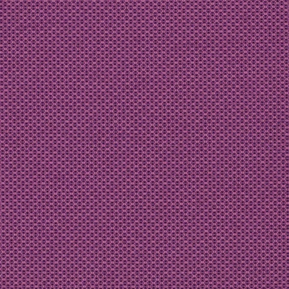 Violet 6562