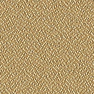 Buckskin 350 027