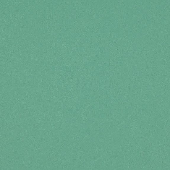 Aqua