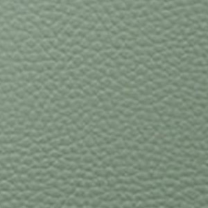 Celadon