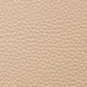 Parchment