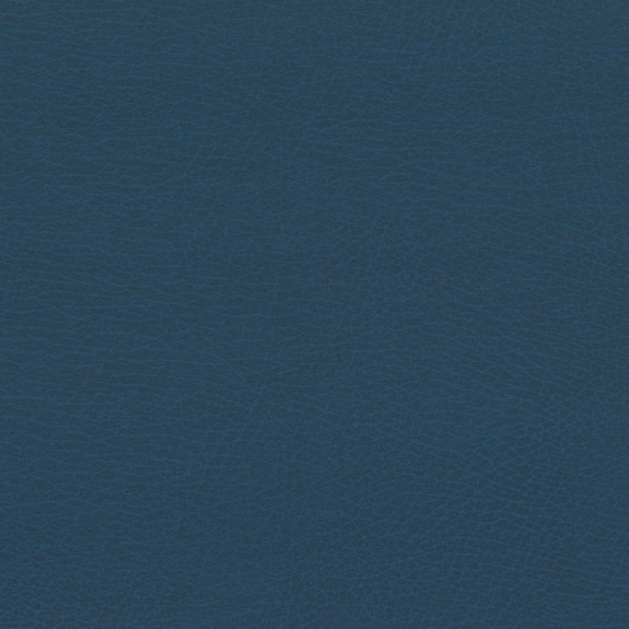 Aegean