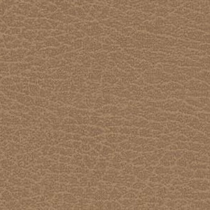 Desert