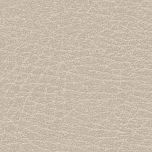 Parchment