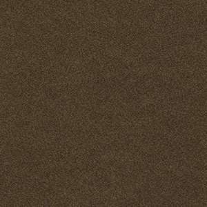 Burnt Umber VO-010