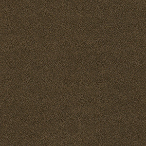 Burnt Umber VO-010