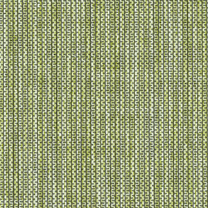 Spring ZP-003