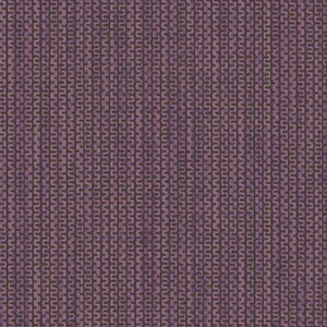 Aubergine ZP-015