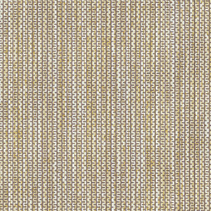 Chamois ZP-017