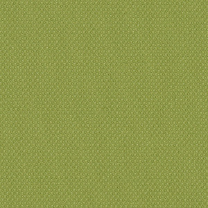 Lime EH-003