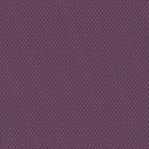 Grape EH-005