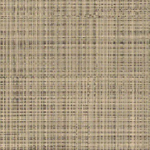 Lattice Buckwheat LAT16