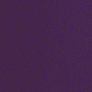 Core 2 0 Black Plum CRE262