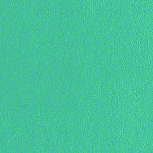 Core 2 0 Blue Nile CRE225