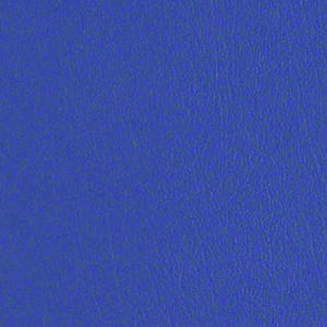 Core 2 0 Blueberry CRE261