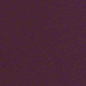 Core 2 0 Burgundy CRE273