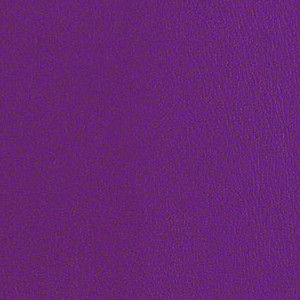 Core 2 0 Grape CRE257