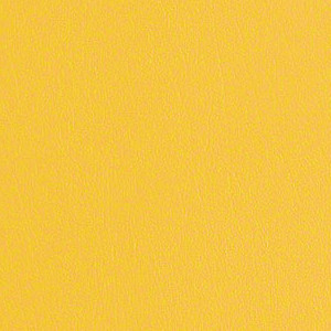 Core 2 0 Marigold CRE249