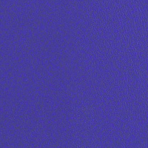 Core 2 0 New Purple CRE256