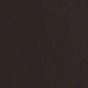 Core 2 0 Otter CRE272