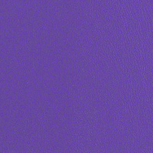 Purple Iris CRE251