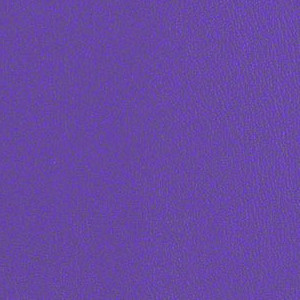 Core 2 0 Purple Iris CRE251
