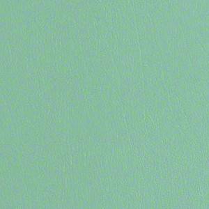 Core 2 0 Sea Grass CRE219