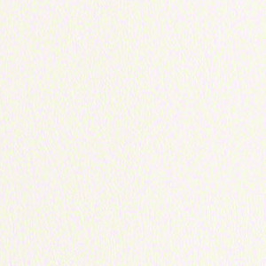 Core 2 0 White CRE217