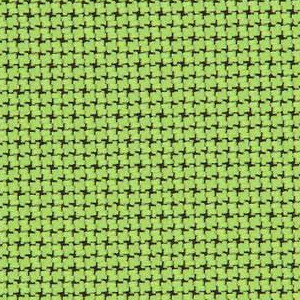 Lime 299-003