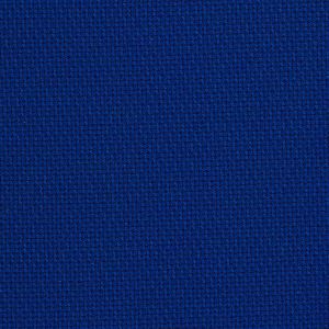 Blue Ribbon 299-024